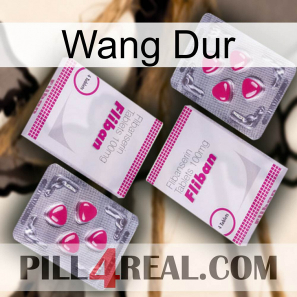 Hard Wang 33
